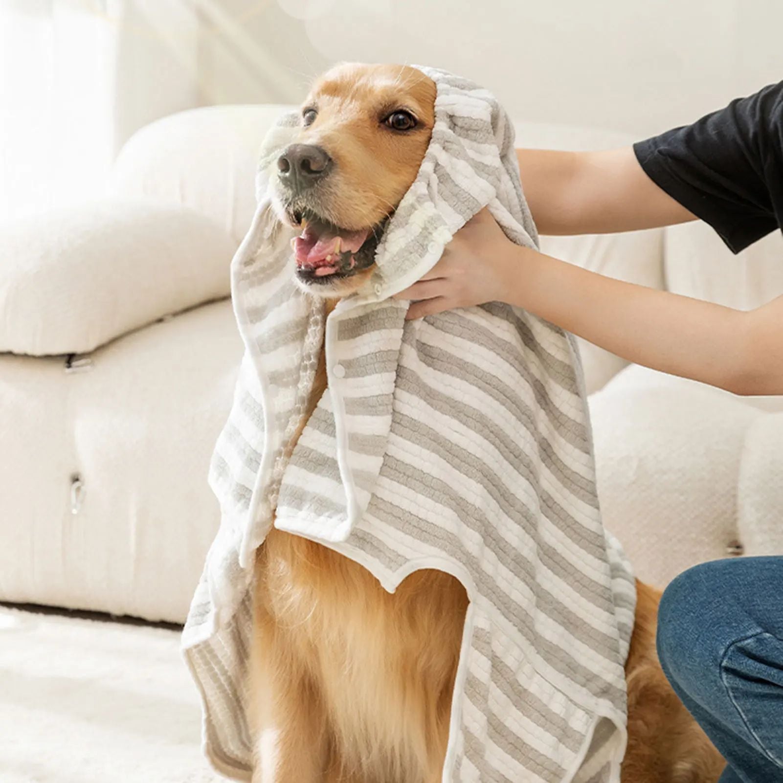 The Ultimate Solution for Your Pet's Bath Time